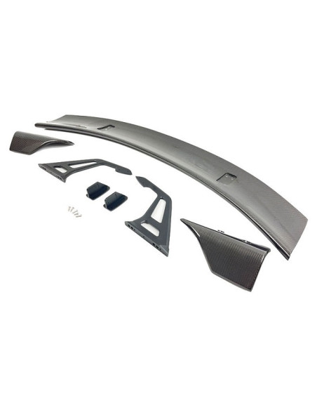 Carbon GTR Heckspoiler Universal DTM Style